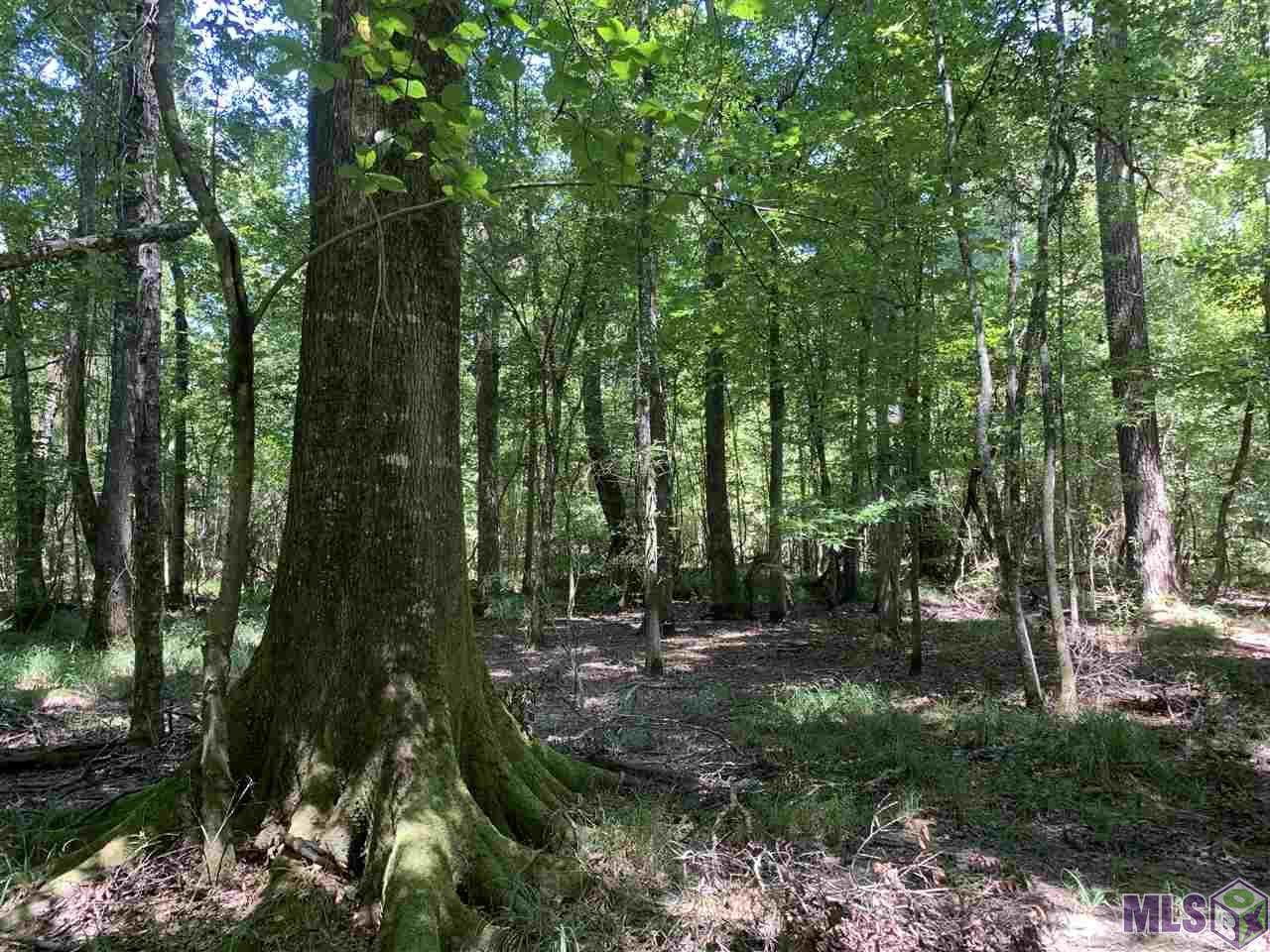 0 Lindsey Dr - Photo 1