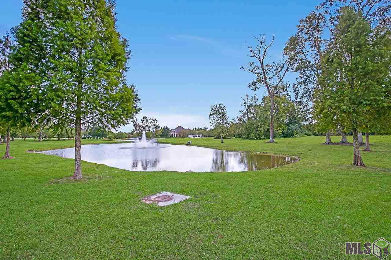 2331 Laurel Lakes Ave - Photo 1