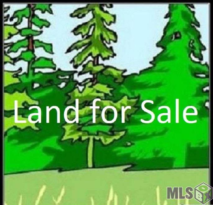 Lot 5 Barsket Rd - Photo 1