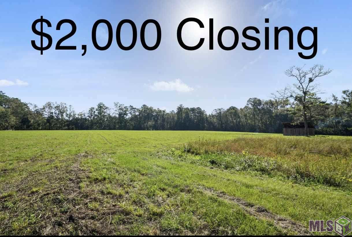 27226 May Edwards Rd - Photo 1