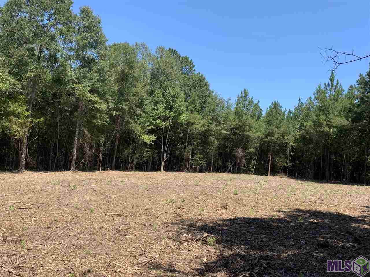 01 Hall Rd - Photo 1