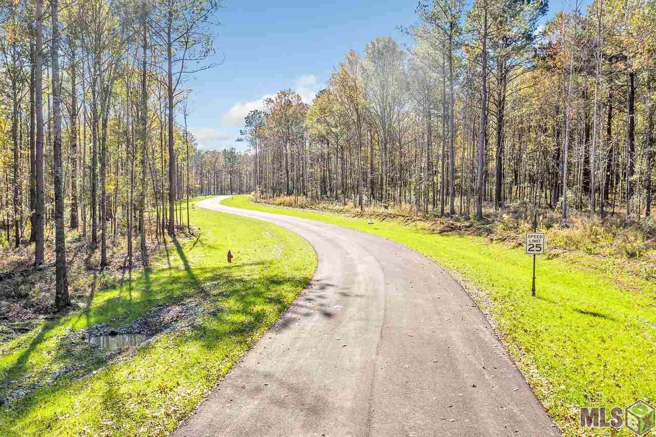 14845 Arbors Trace - Photo 1