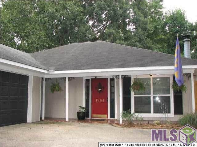 1264 Bullrush Dr - Photo 1