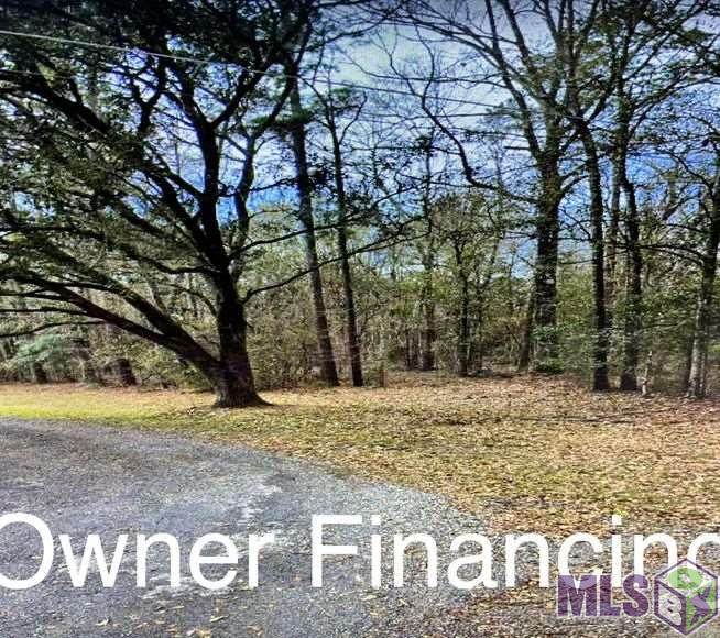 27206 May Edwards Rd - Photo 1