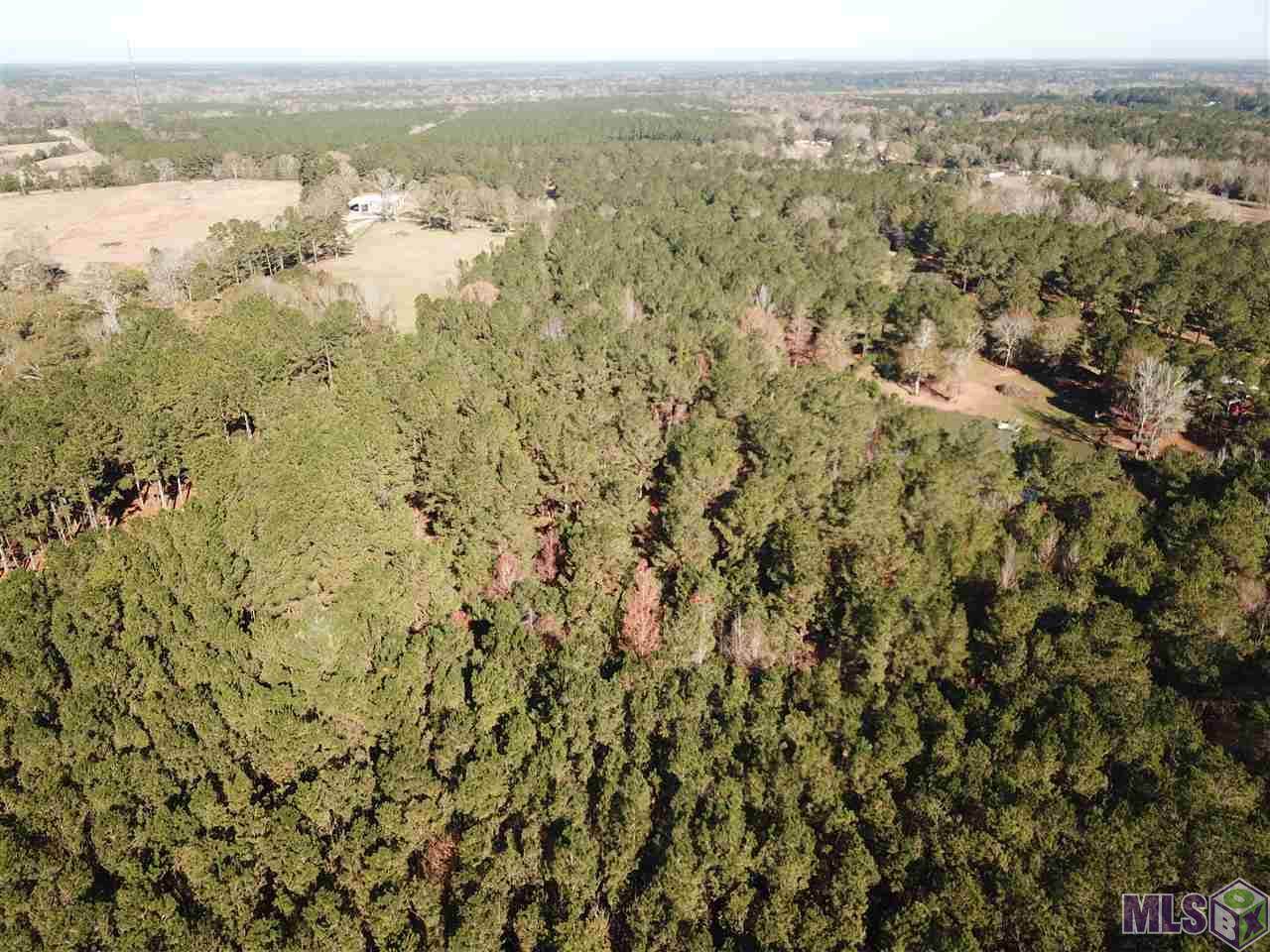 7036 Andrews Ln - Photo 1