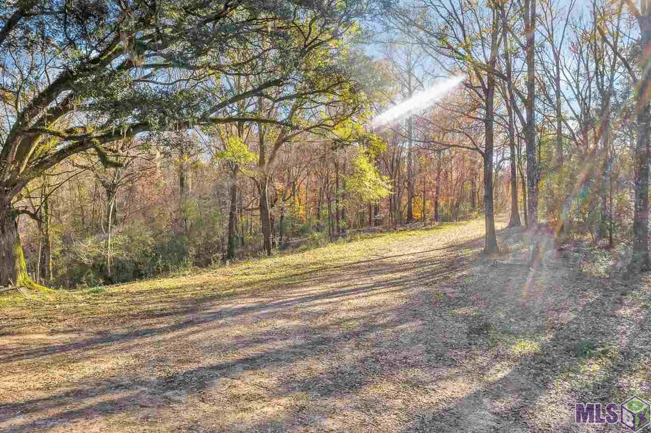 14150 Ouida Irondale Rd - Photo 1