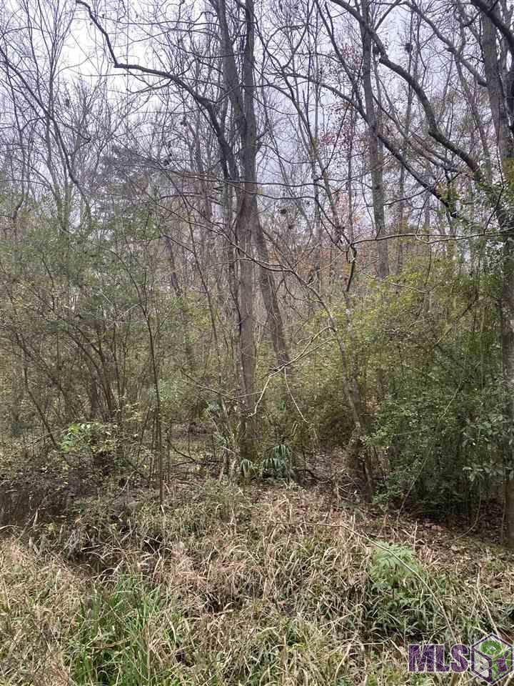 36383 Ronda Dr - Photo 1