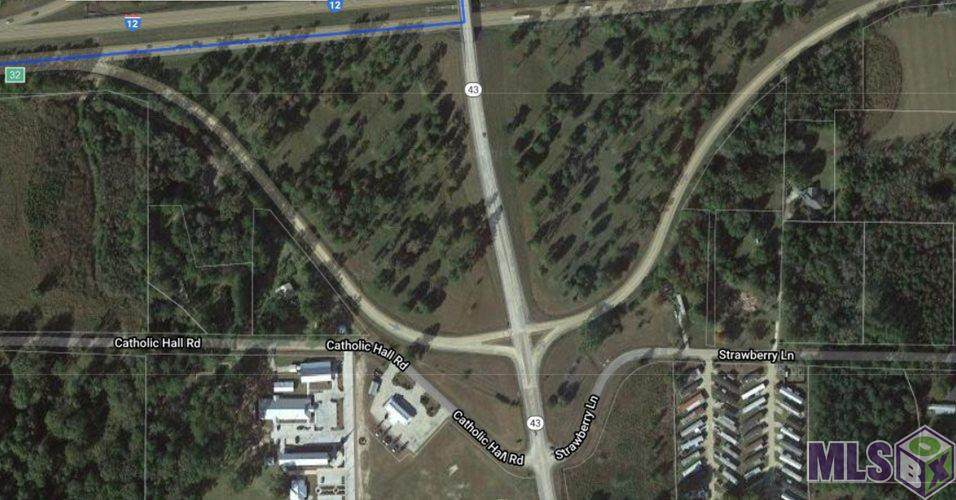 30525 Strawberry Ln - Photo 1