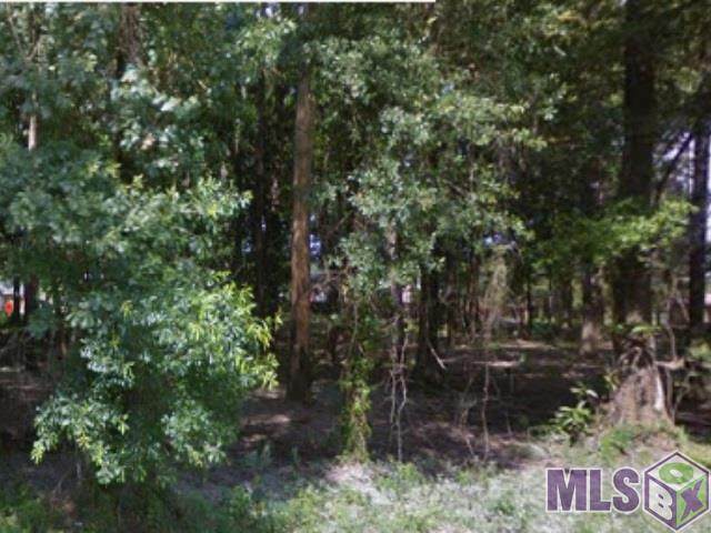 11216 Buddy Ellis Rd - Photo 1
