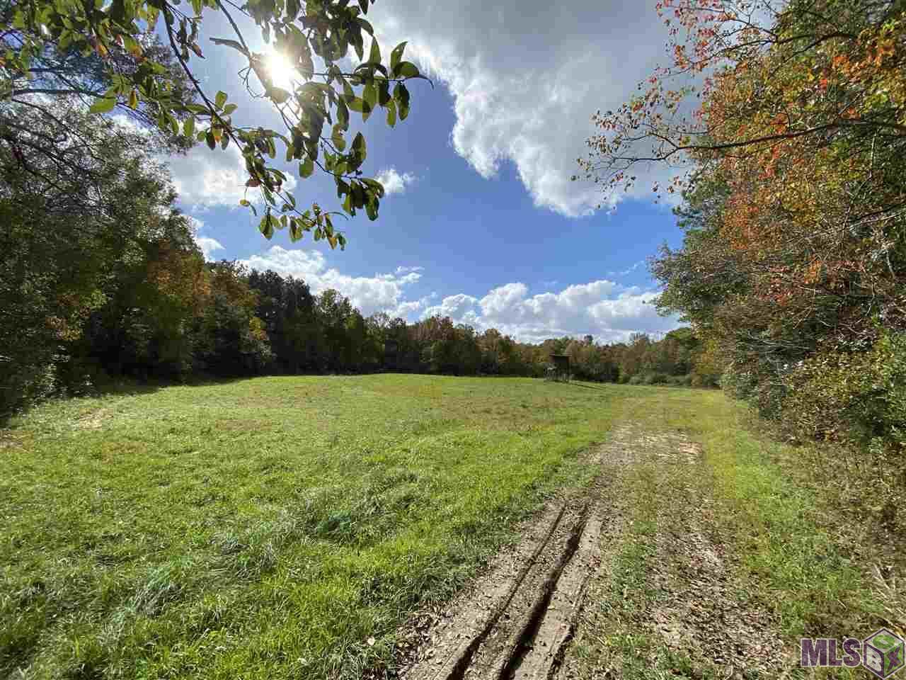 000 Perkins Rd - Photo 1