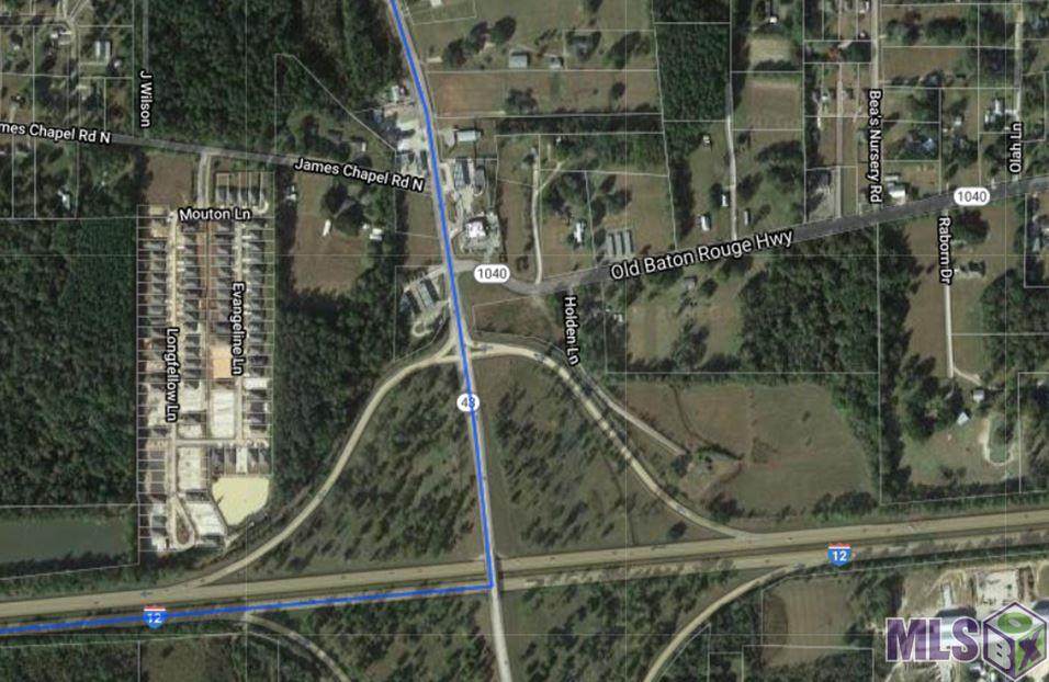 Old Baton Rouge Hwy - Photo 1