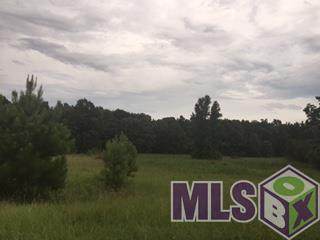 10912 La Hwy 965 - Photo 1