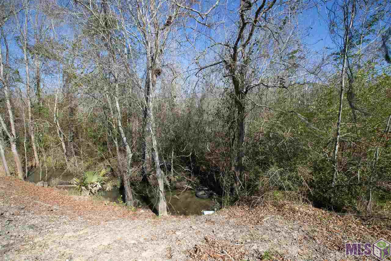 9928 Airline Hwy - Photo 1