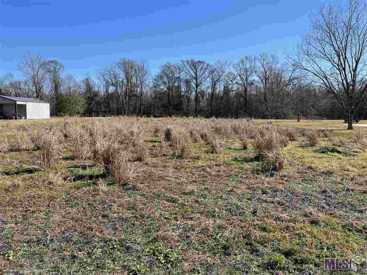Lot 35 Nelson Rd - Photo 1
