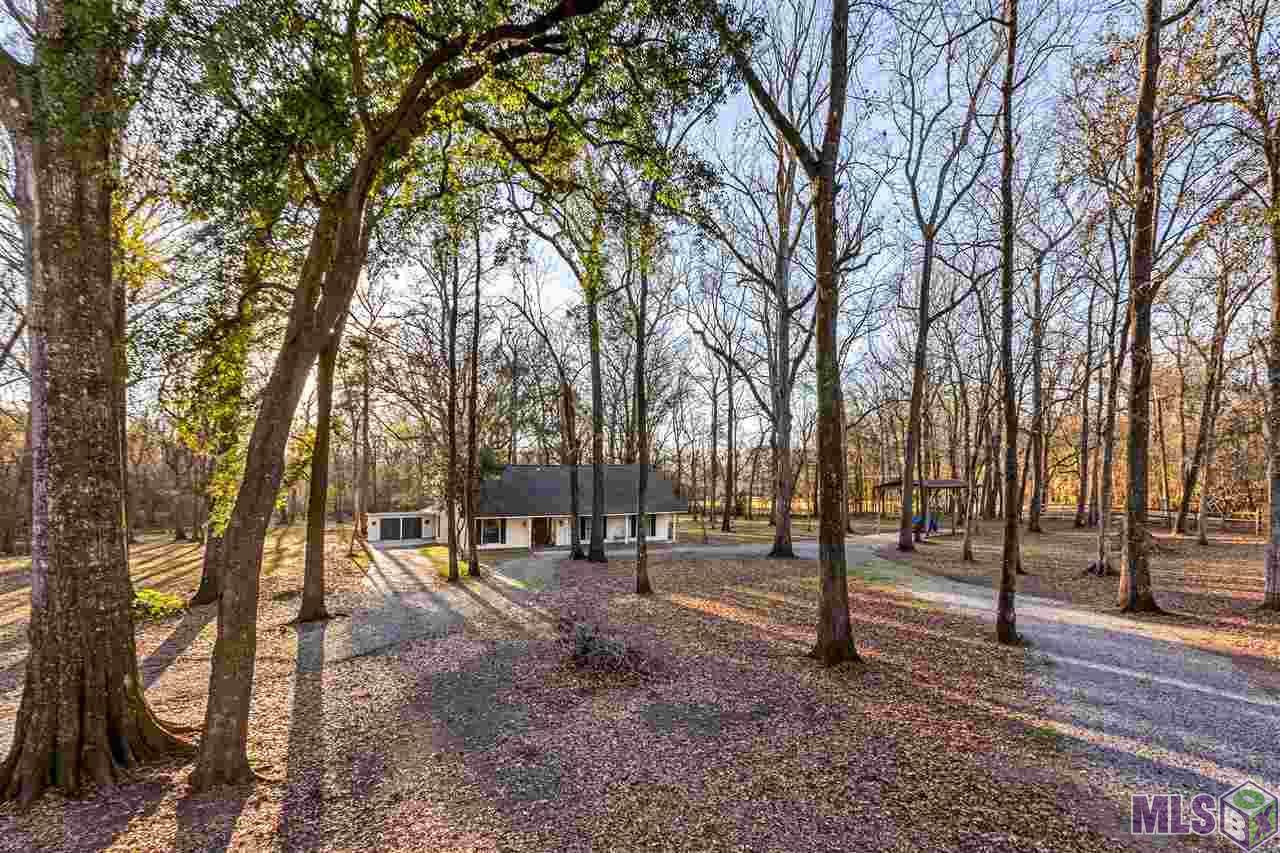 7310 Bayou Paul Rd - Photo 1