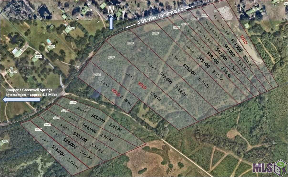 27804 Greenwell Springs Rd - Photo 1