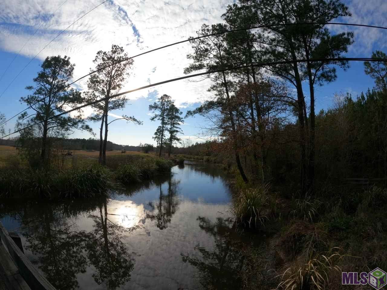 TBD Shingle Mill Rd - Photo 1