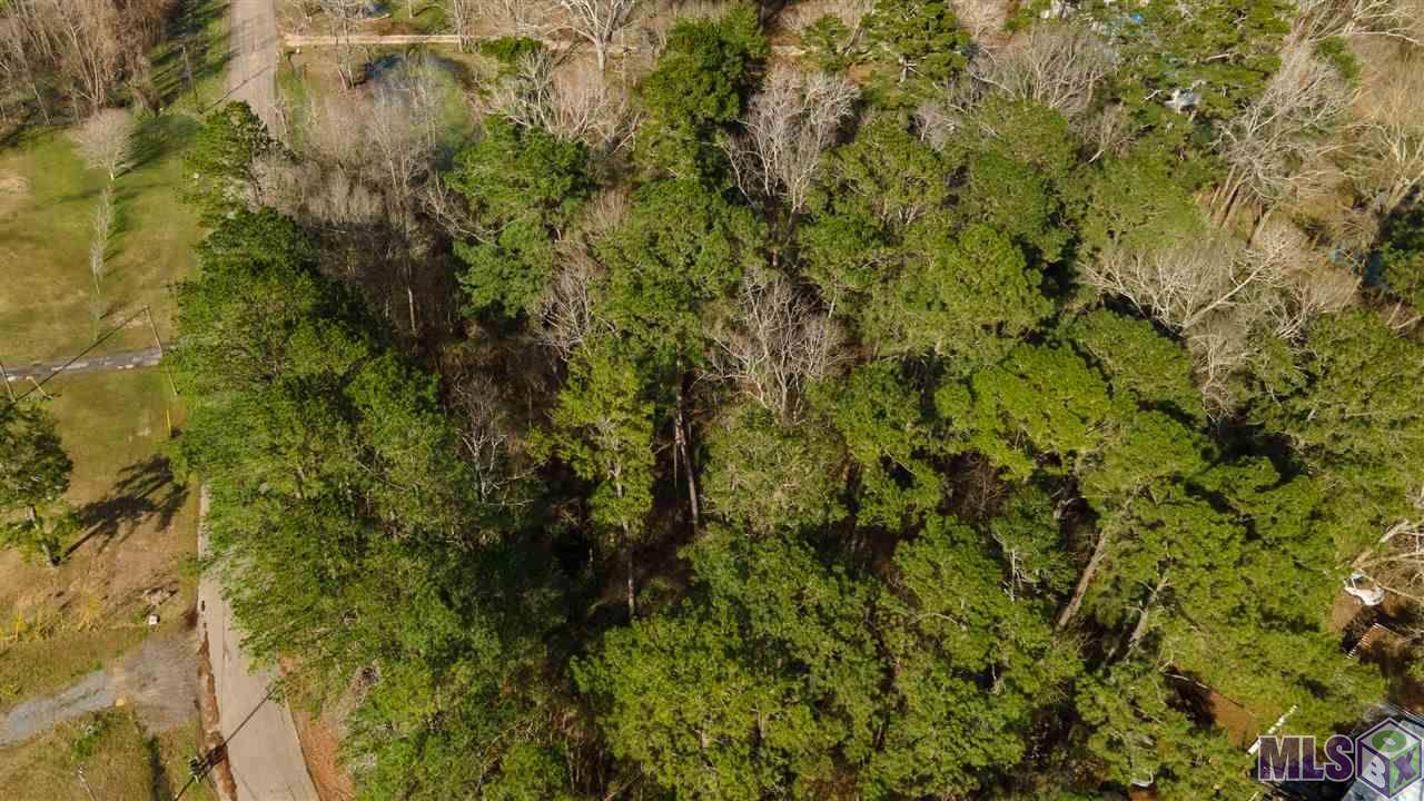 2ACRE SEC 1-8-3 Cullen Dr - Photo 1