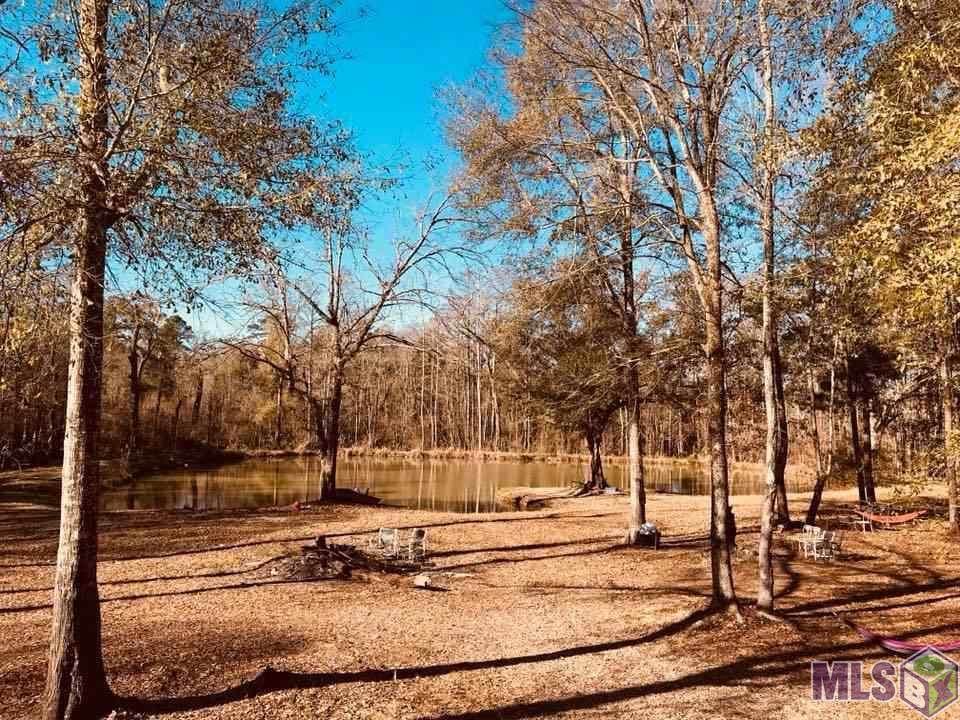 18717 Hwy 42 - Photo 1