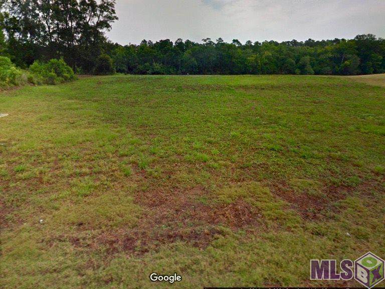 18487 Amite Acres Dr - Photo 1