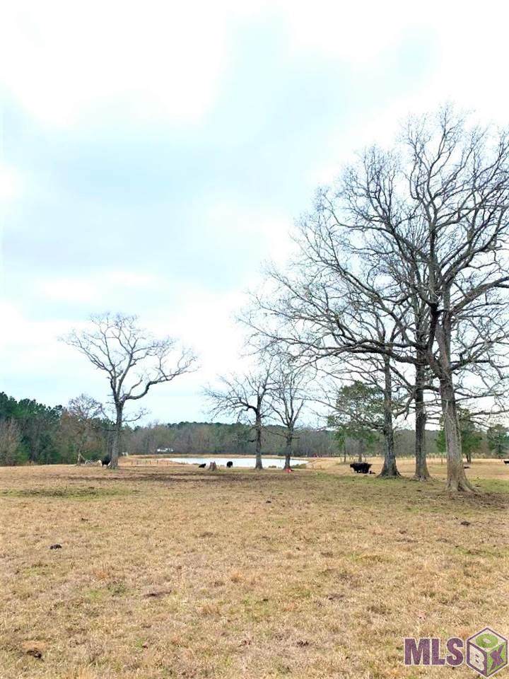 TBD La Hwy 409 - Photo 1