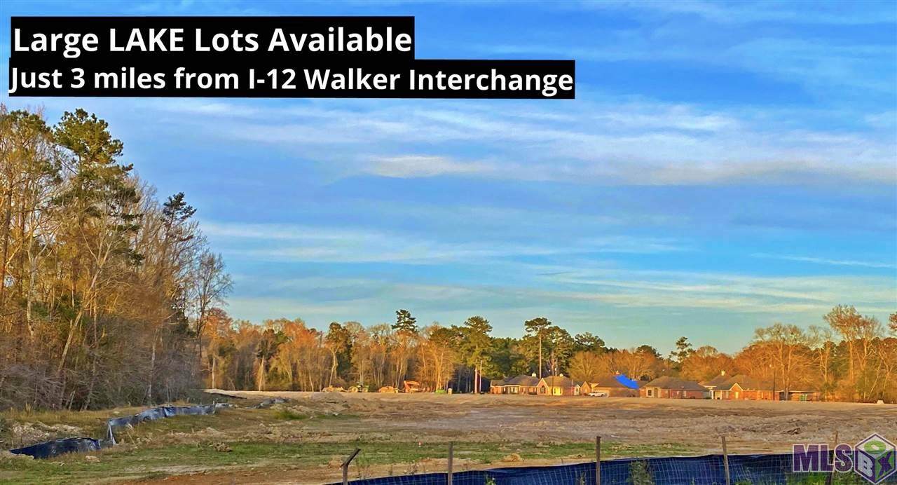 14721 Carroll Ave - Photo 1