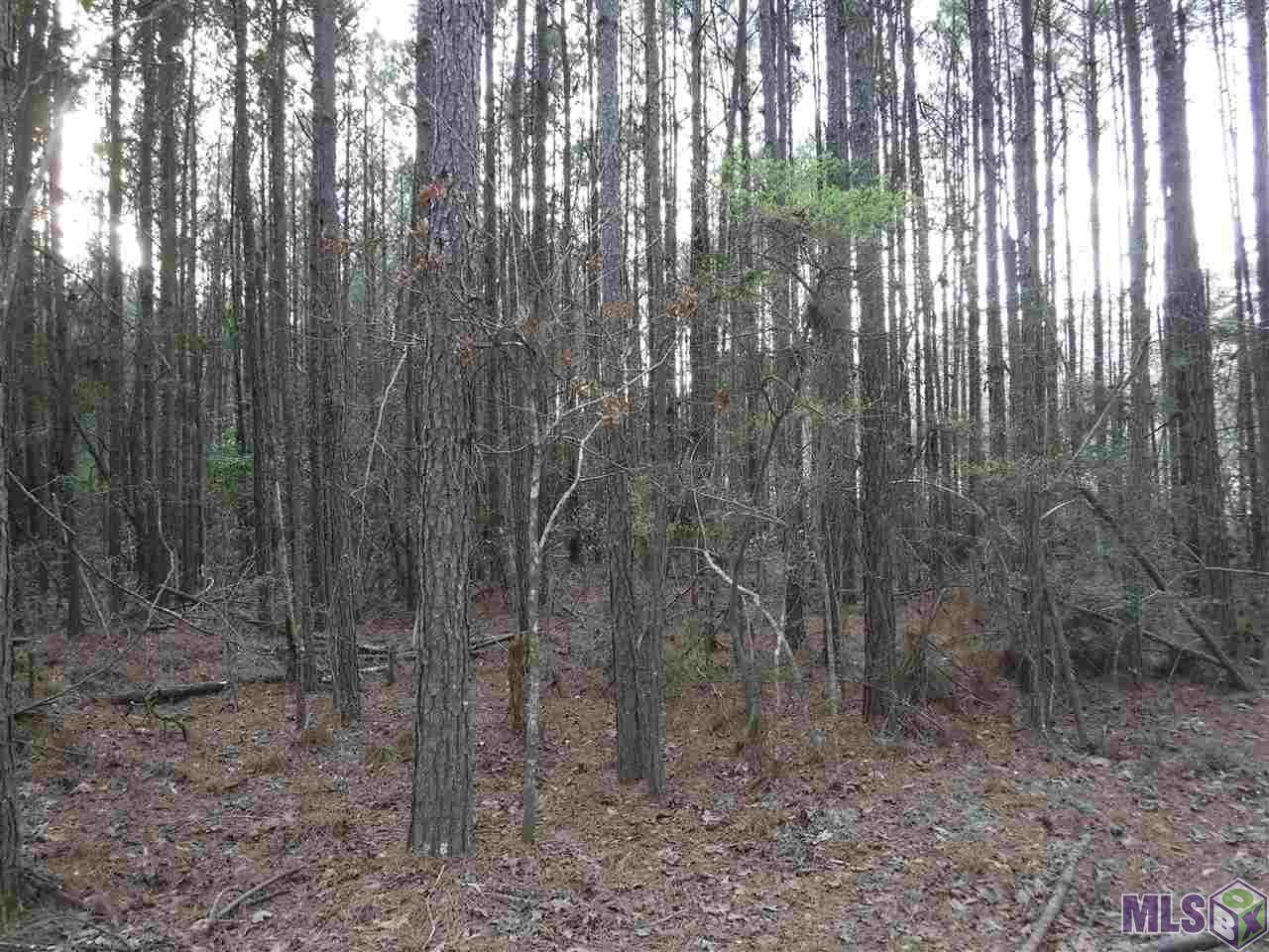TBD Granier Ln - Photo 1