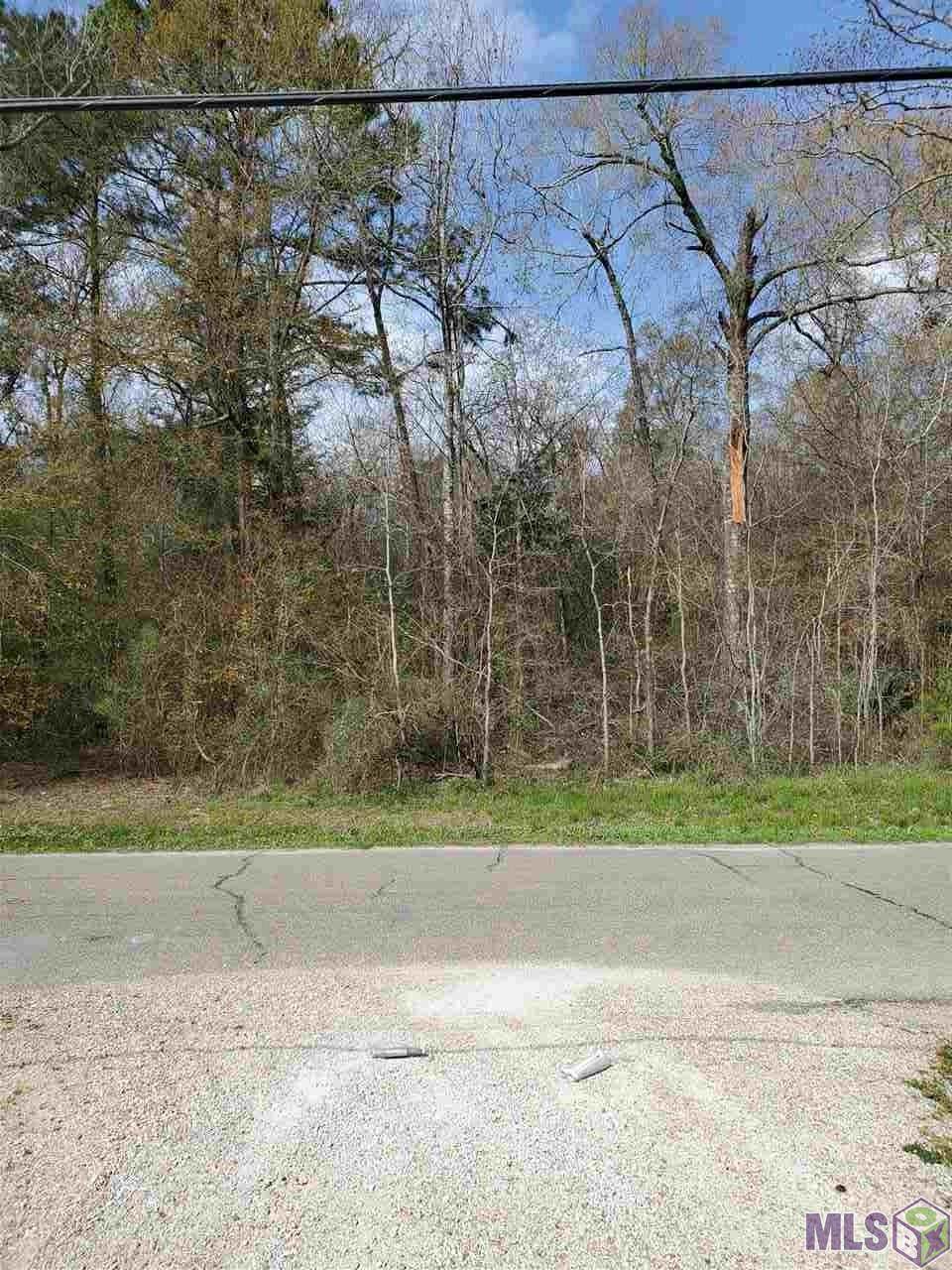 Lot #22 Magnolia Dr - Photo 1