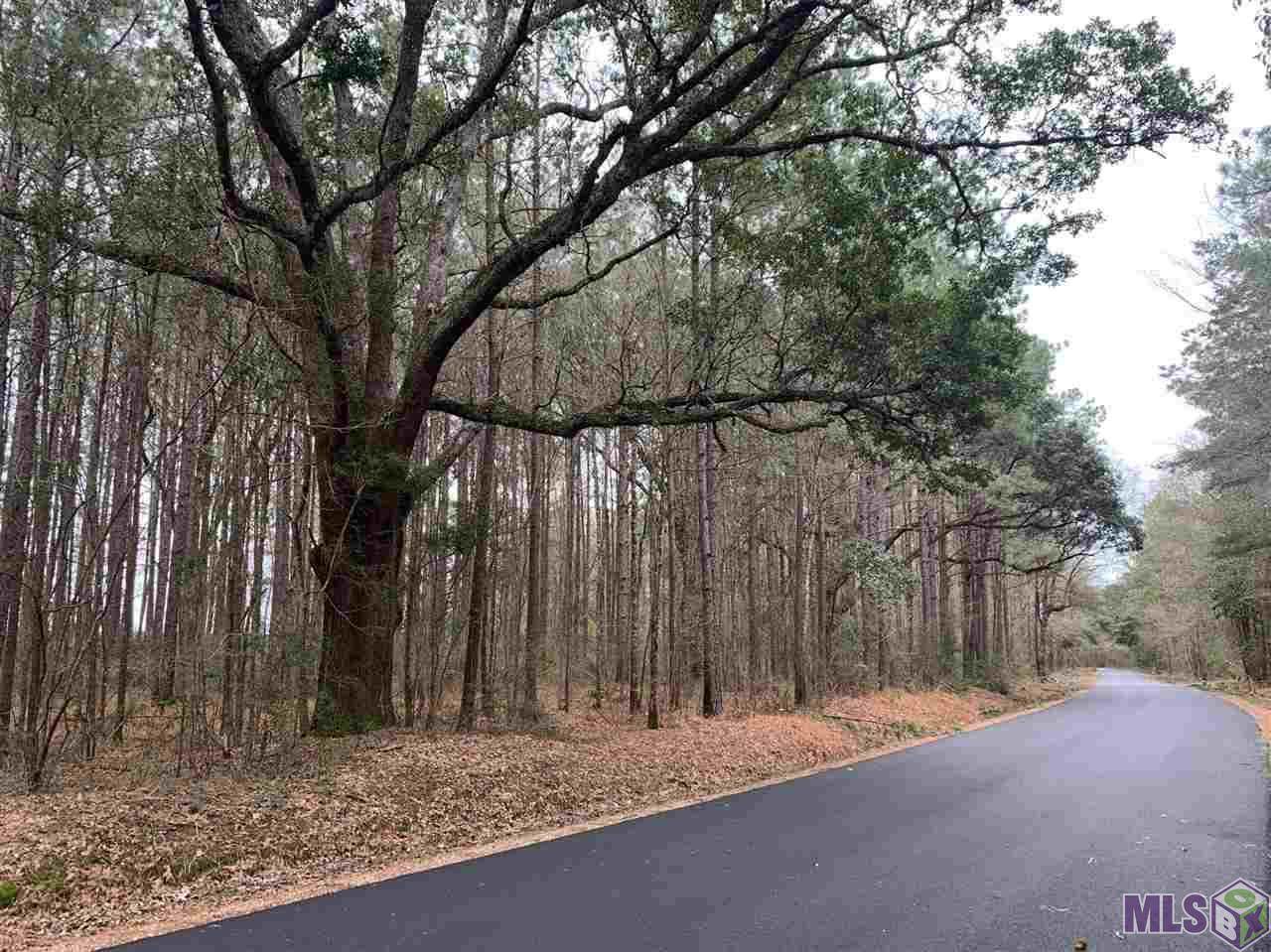 Lot 31 Nesom Rd - Photo 1