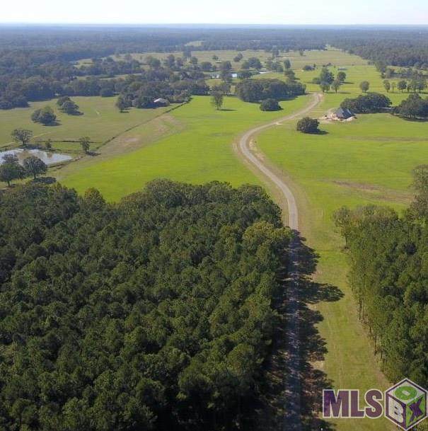 90114 Basil Ln - Photo 1