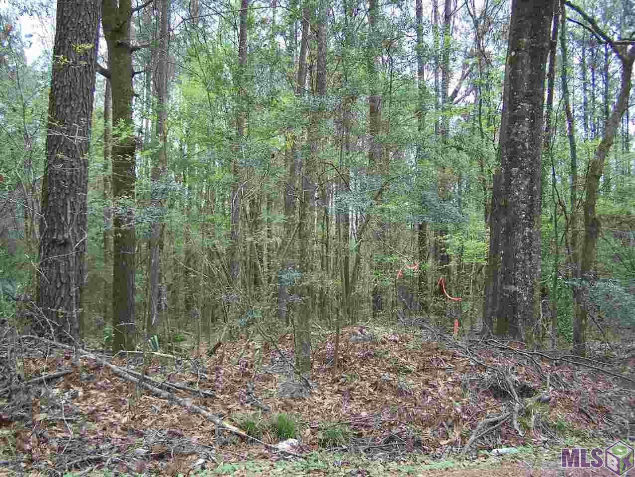 1.82 acres Avants Rd - Photo 1