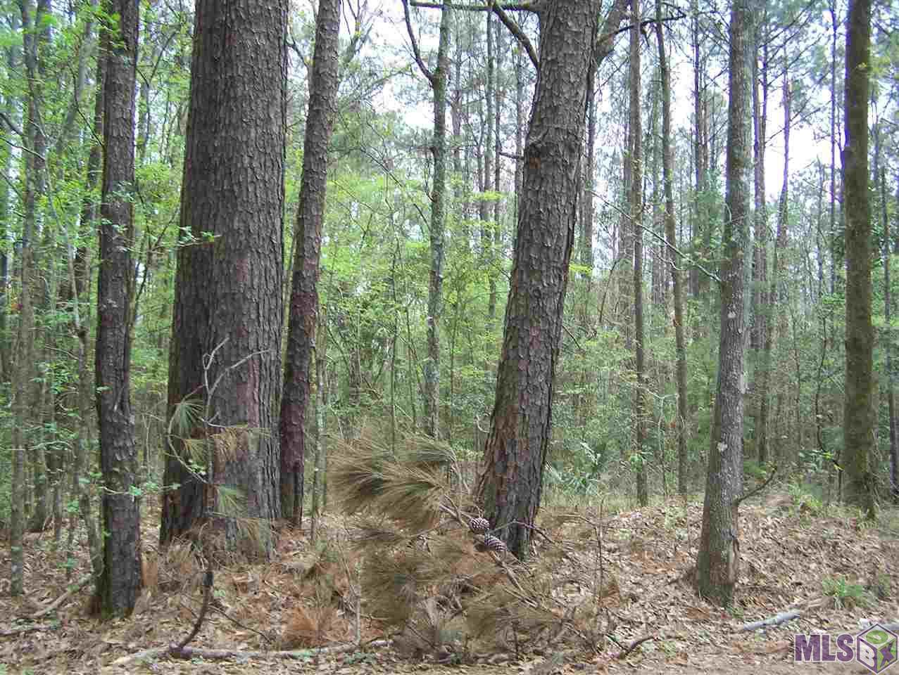 1.84 acres Avants Rd - Photo 1
