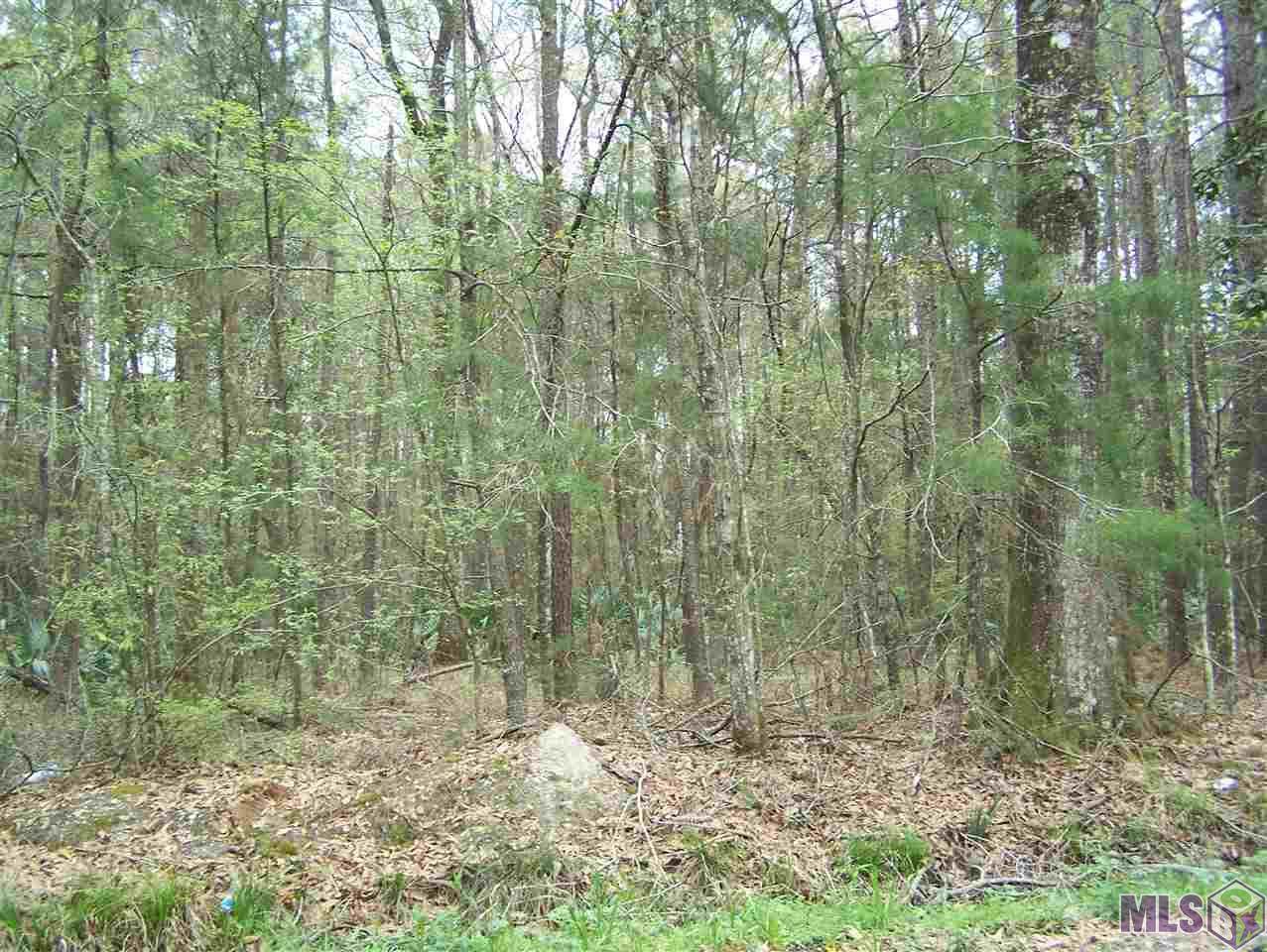 Tract F Avants Rd - Photo 1