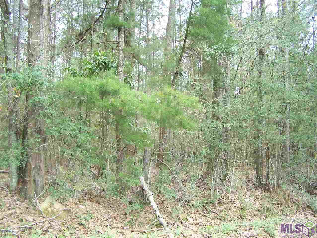 1.85 acres Avants Rd - Photo 1