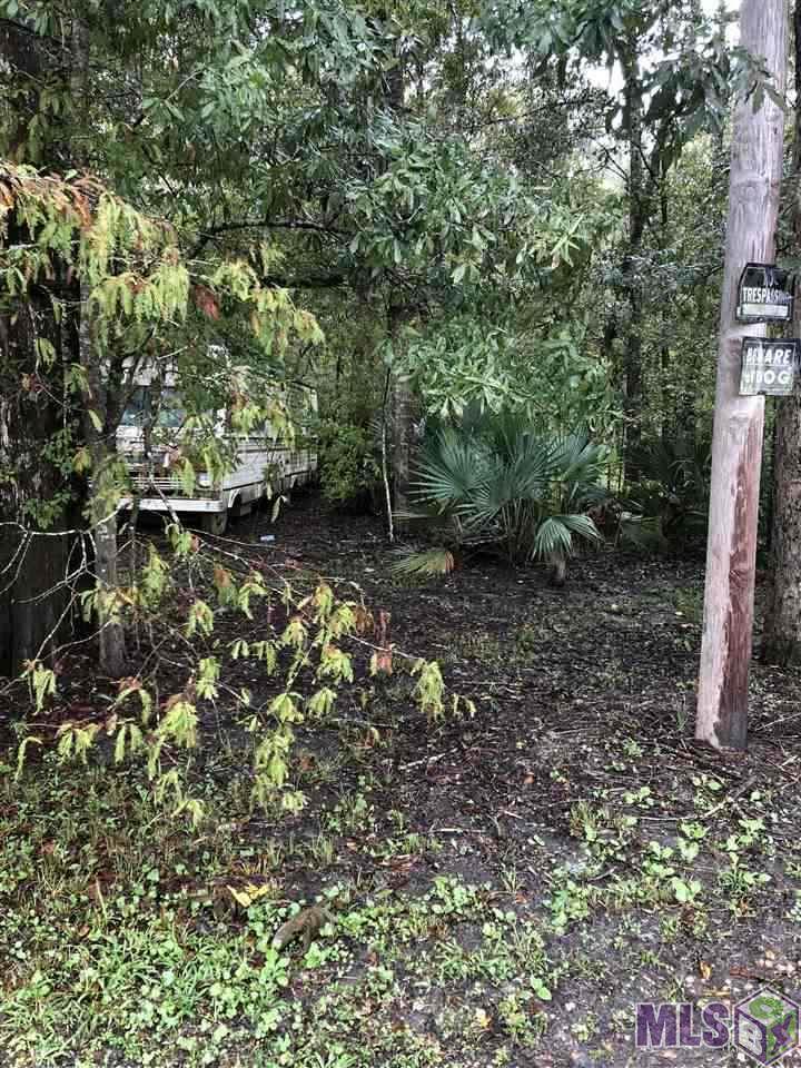 Lot 20 Amite River Rd - Photo 1