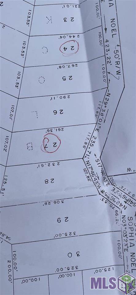 Lot 24 Sophia Noel Dr - Photo 1