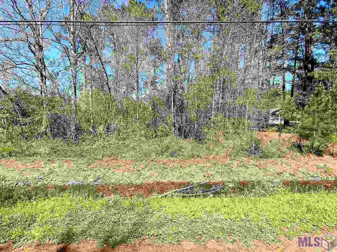 10995 Lakeside Dr - Photo 1