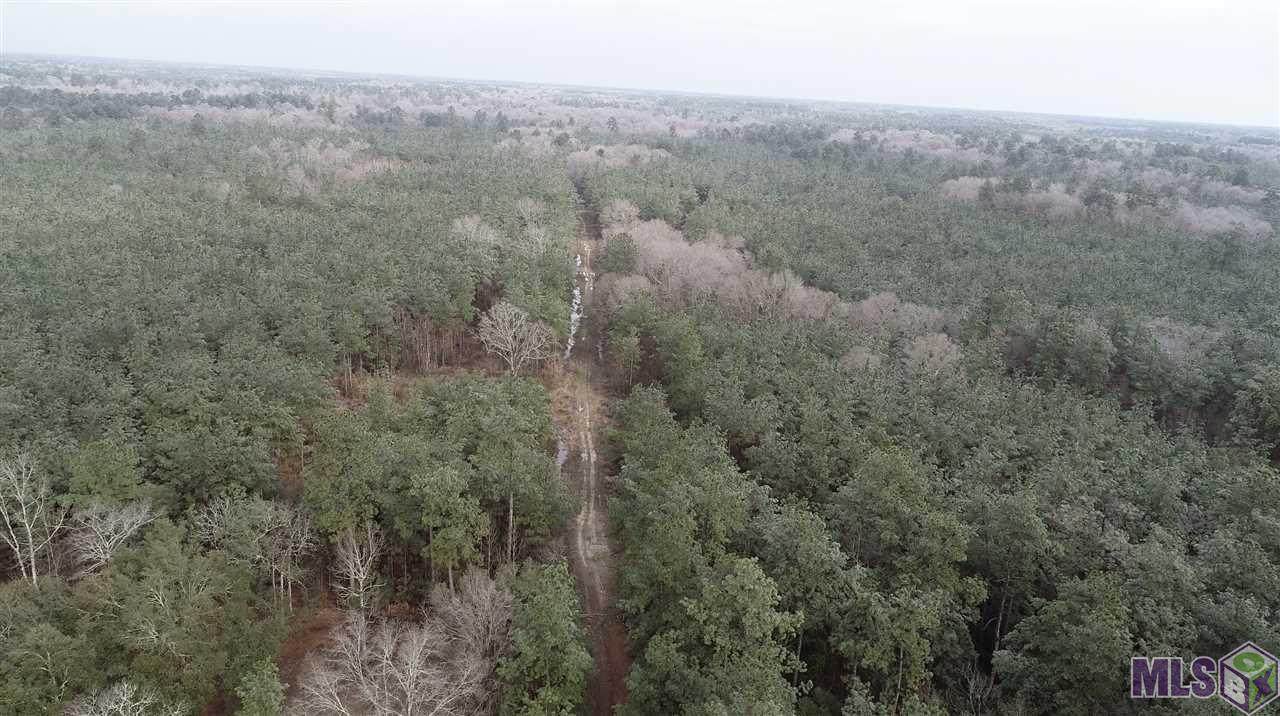 000 La Hwy 42 - Photo 1