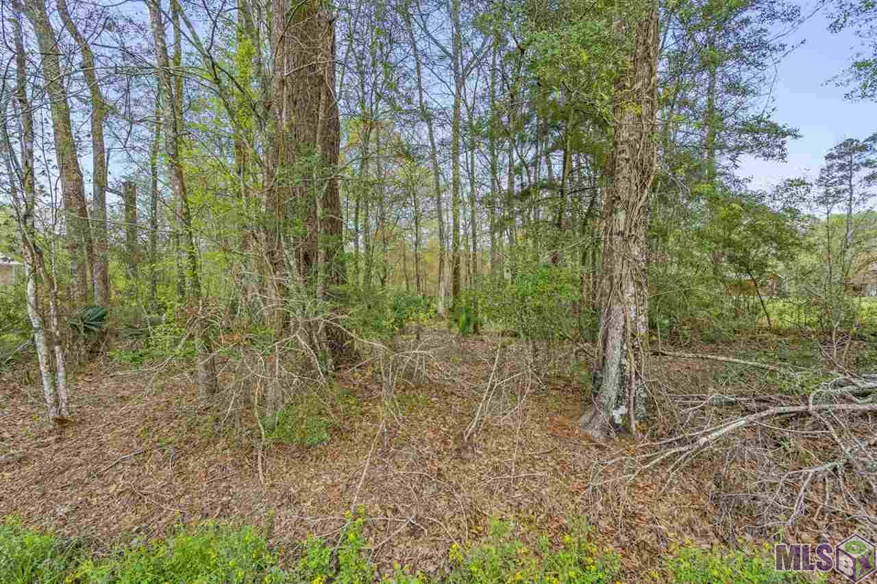 34499 Buck Carroll Rd - Photo 1