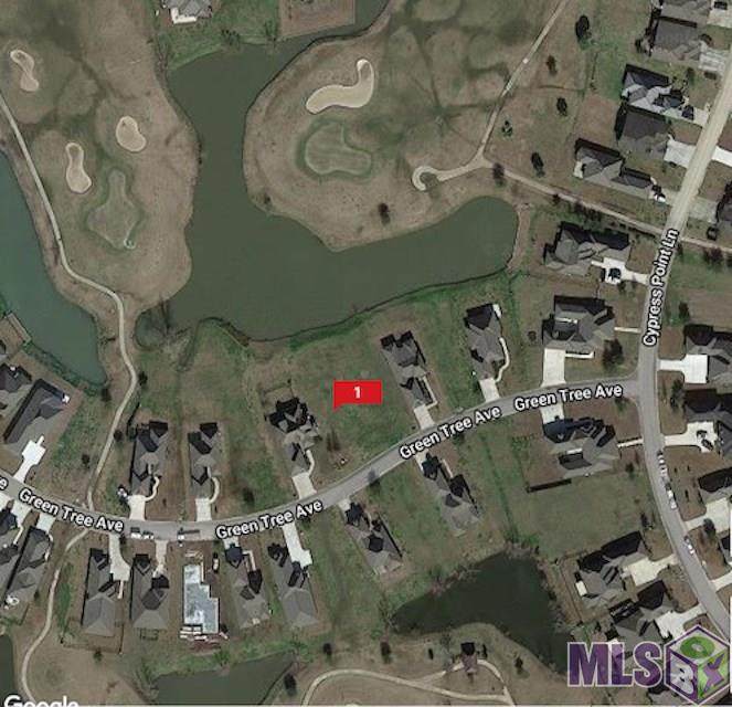 43096 Green Tree Ave - Photo 1