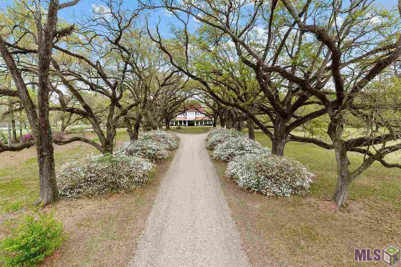 23090 Brian Rd - Photo 1