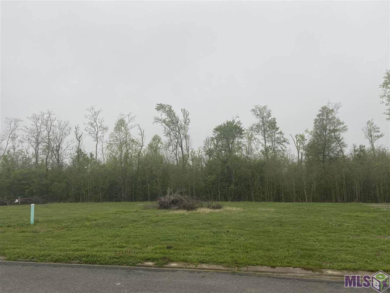 1523 Fourchon Ave - Photo 1