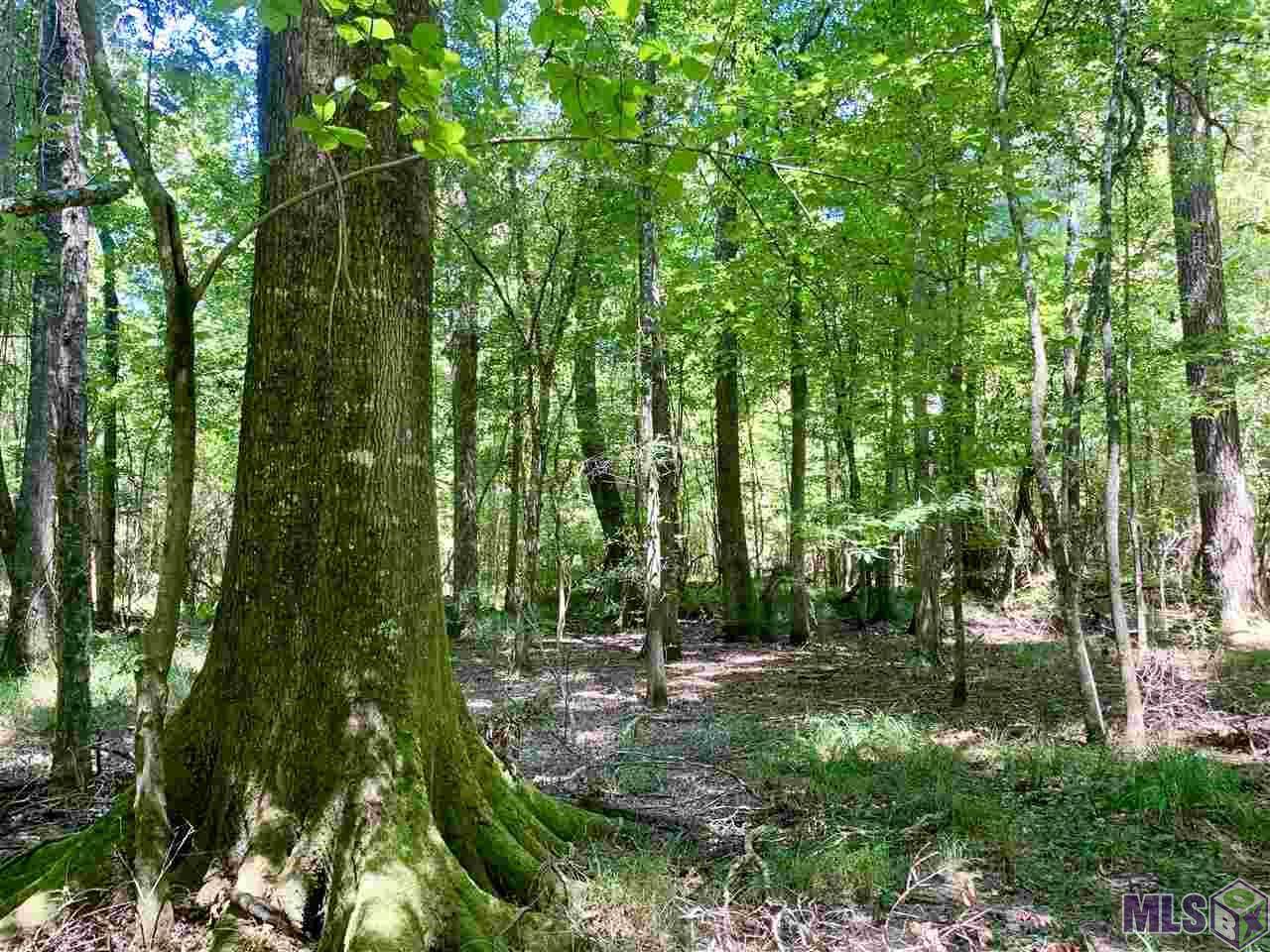0 Hall And Lindsey Rd - Photo 1