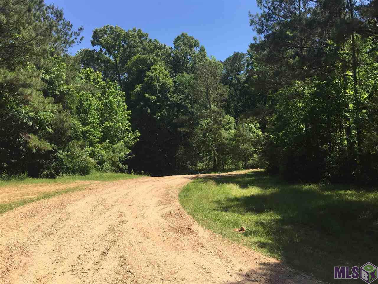 TBD Cheerful Valley Rd - Photo 1