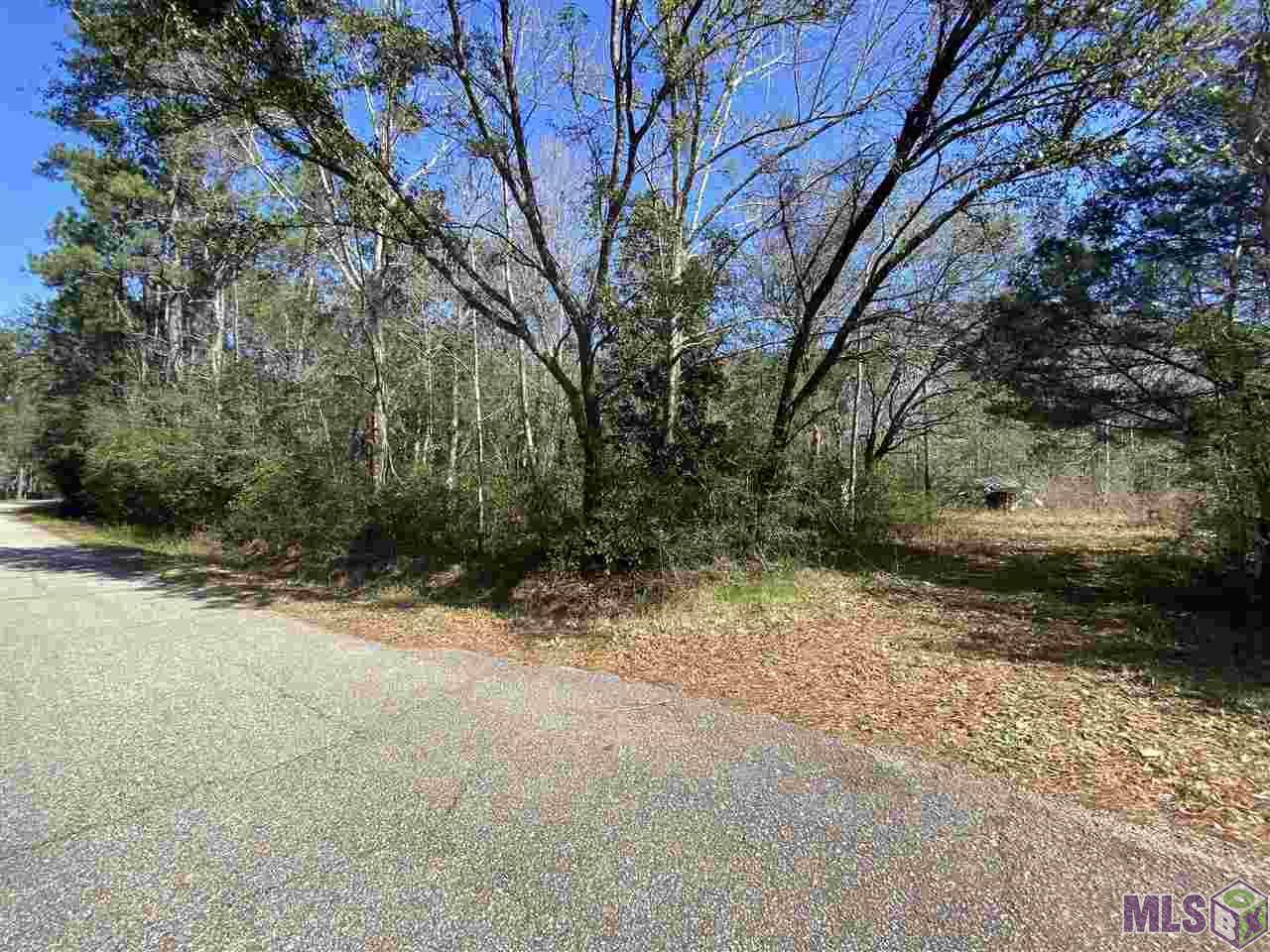 60120 Stemen Dr - Photo 1