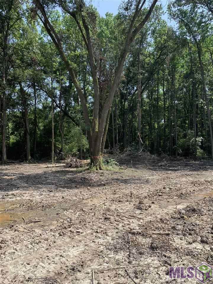11111 Robert Wilson Rd - Photo 1