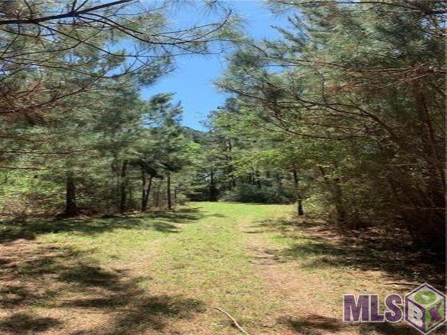 Foreman Rd - Photo 1
