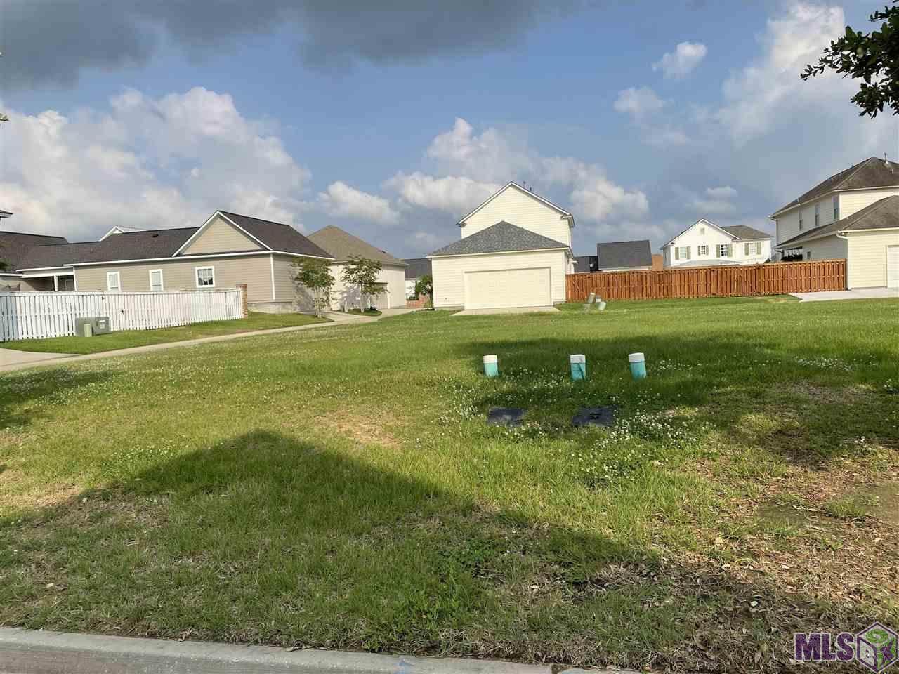 Lot 49 Chapel Hill Row - Photo 1