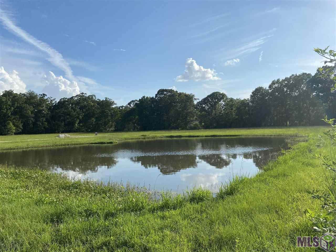 9849 Blackwater Rd - Photo 1