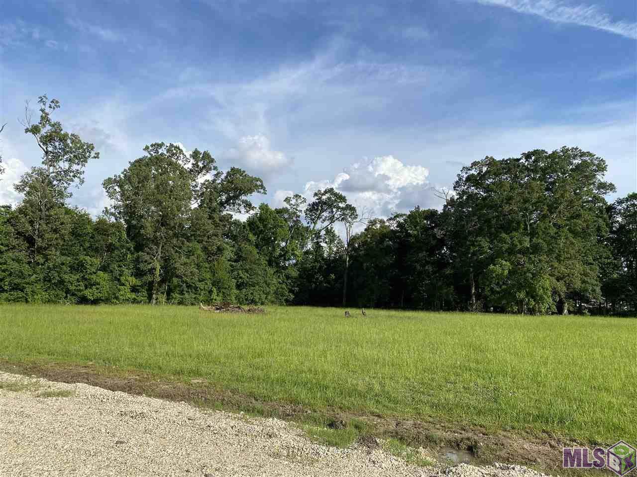 9837 Blackwater Rd - Photo 1